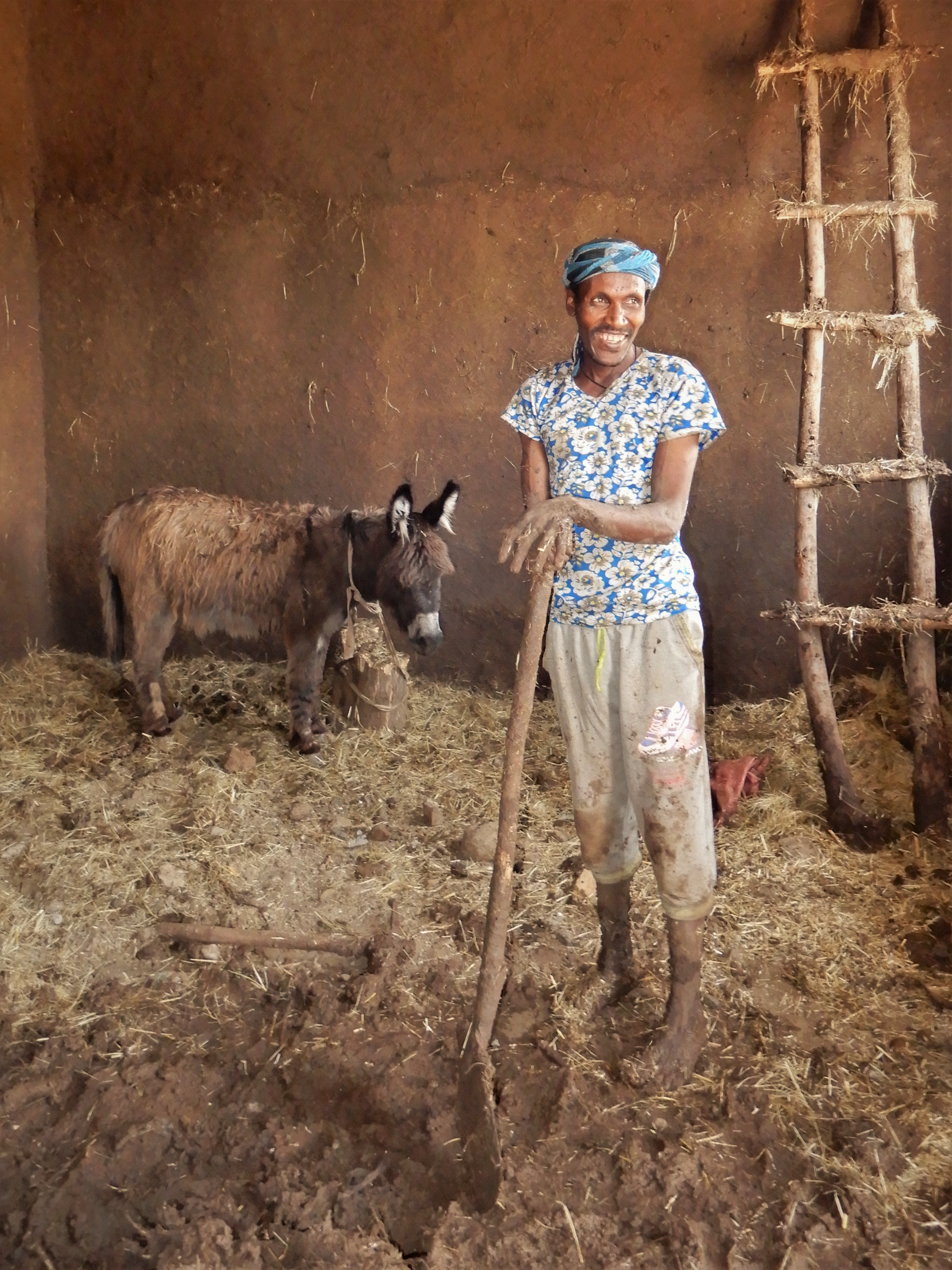 Traditional Earth Daub