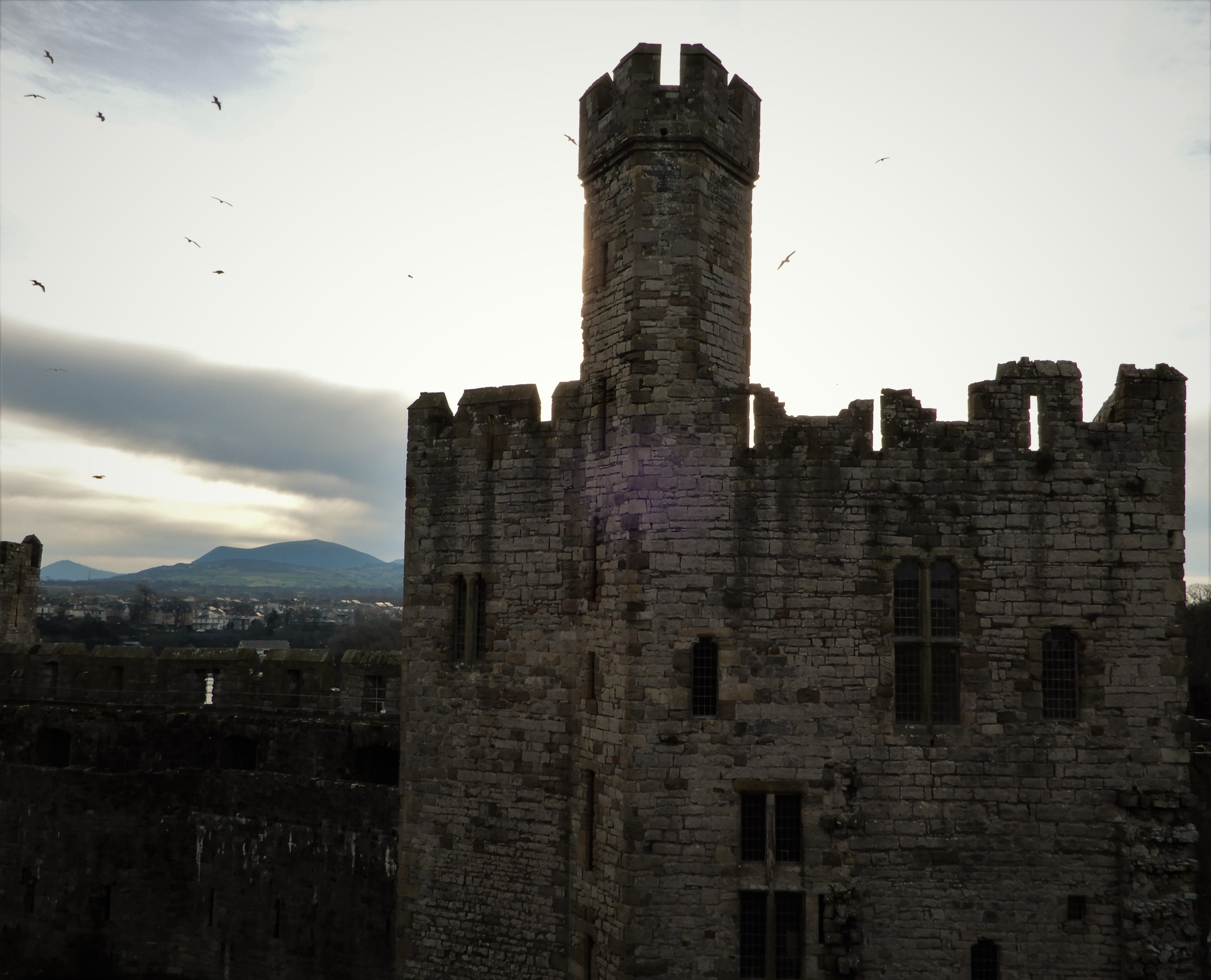 Mortar and Salt Analysis at Caernarfon Castle