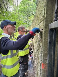 Supporting the Friends of Waterton's Wall with a lime training workshop, enabling them to begin re-pointing and re-building sections of this iconic wall