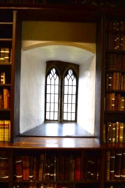 Investigations and treatment of salt contamination of the walls, behind and above-removed bookcases at Palace Green Library Durham