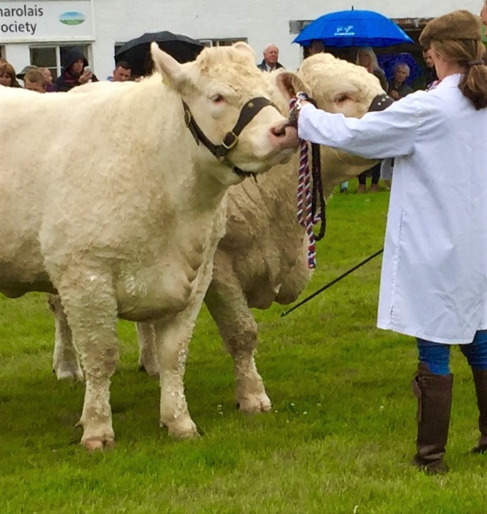 Exhibiting at Yorkshire Show